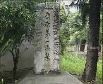 今日关注｜您好我叫从化，这是我的最新简历