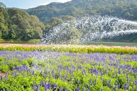 今日关注｜您好我叫从化，这是我的最新简历