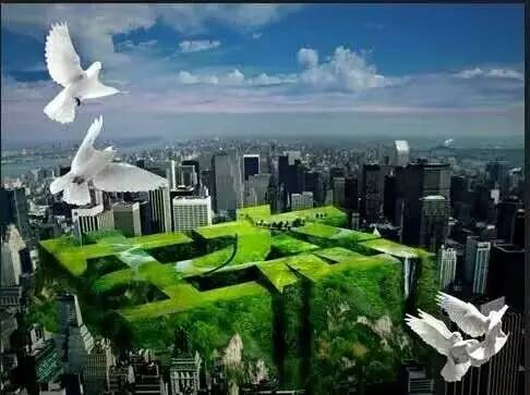 今日关注｜您好我叫从化，这是我的最新简历