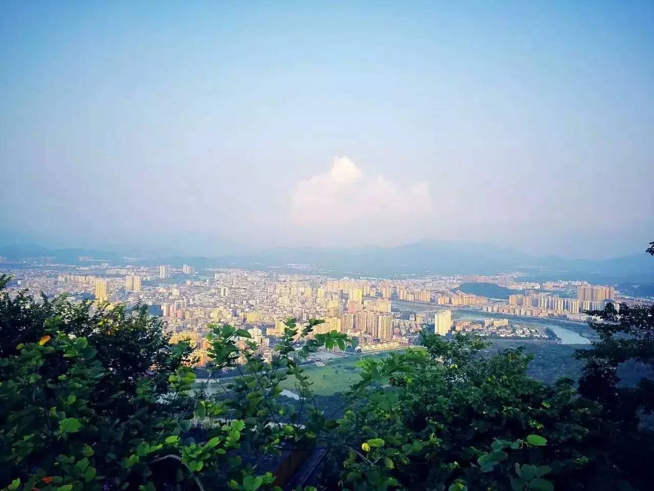 今日关注｜您好我叫从化，这是我的最新简历