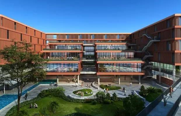 今日关注｜您好我叫从化，这是我的最新简历