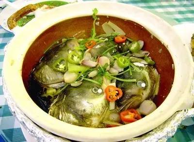 今日关注｜您好我叫从化，这是我的最新简历