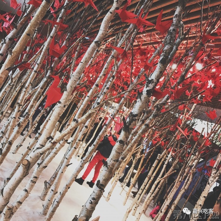 什么？据说不到五十元人民币就能来回韩国？我信了！NO.505