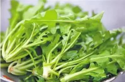 又到挖野菜的季节,又到了挖野菜的季节了是什么意思