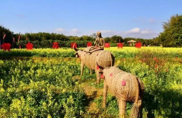 今日关注｜您好我叫从化，这是我的最新简历
