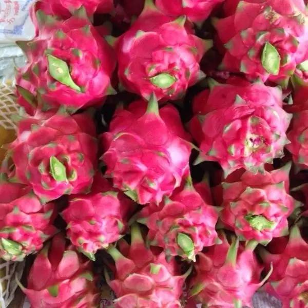 今日关注｜您好我叫从化，这是我的最新简历