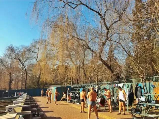 清华冬泳,清华大学生室外冬泳