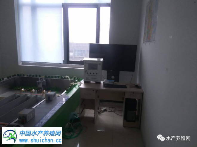 十亩鱼塘如何养出20亩的鱼,10亩鱼池养多少鱼苗