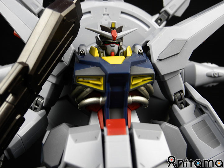 你说的这个谁懂啊日语,你说的这个谁懂啊用日语怎么说