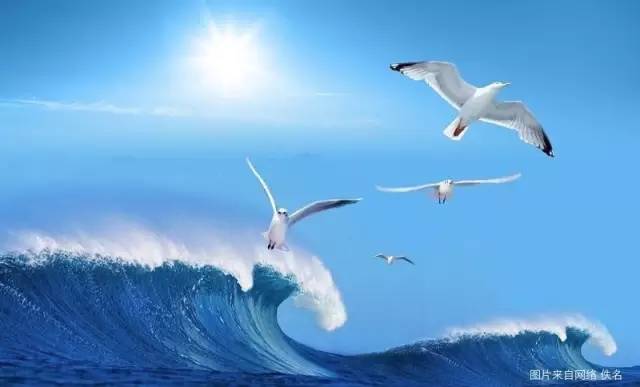 2015存储回顾｜合纵连横不亦乐乎（终结篇全集）