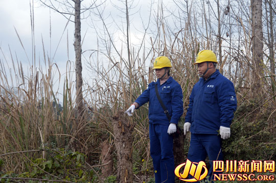 英姿飒爽女电工,飒爽英姿女电工