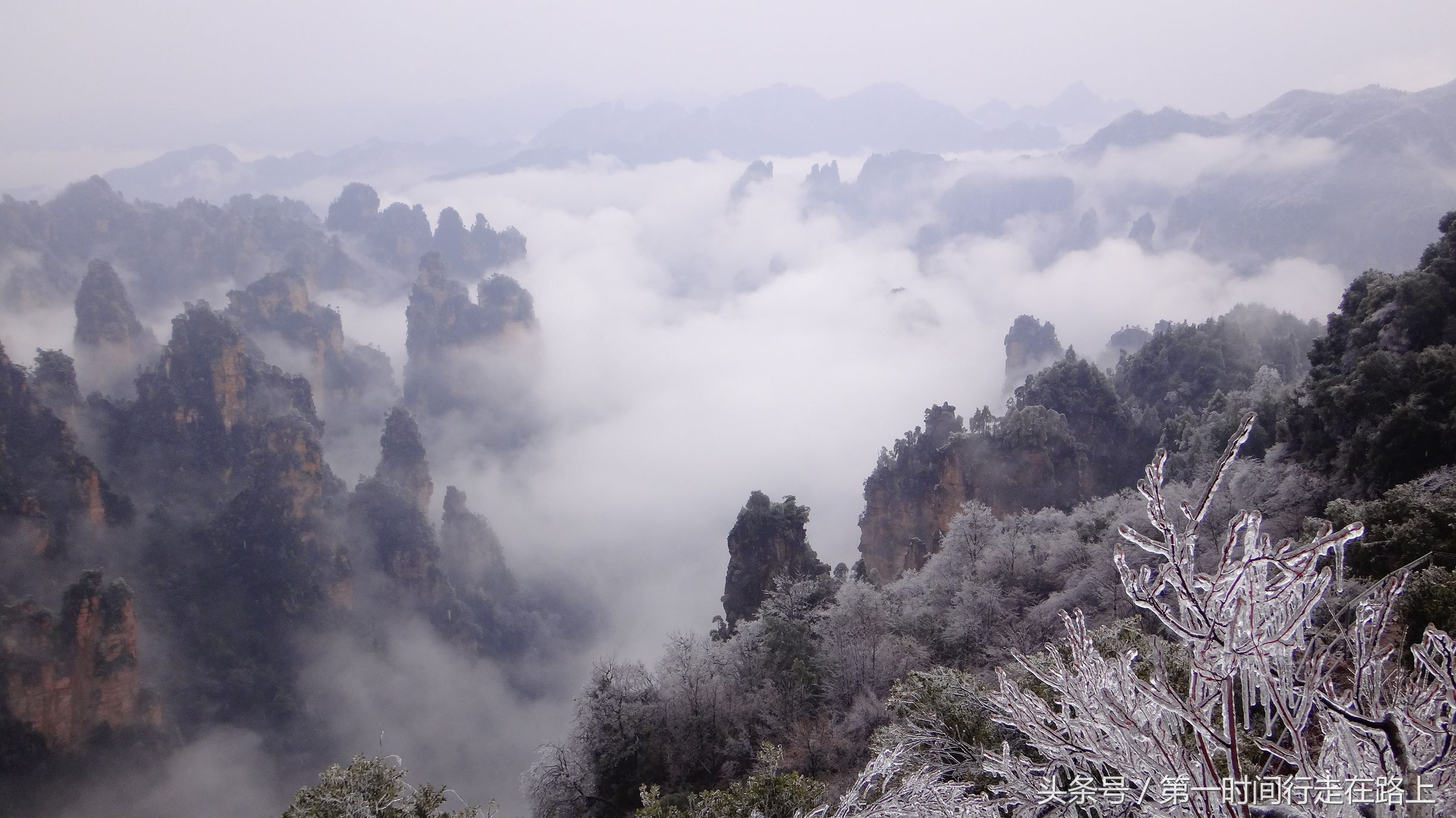 张家界浪漫之地,张家界最浪漫的婚纱
