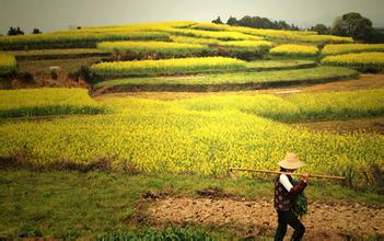 土地贷款分为几个步骤,土地贷款一亩能贷多少