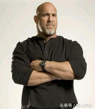 wwe摔角狂热大赛布洛克莱斯纳大狗,wwe重量级冠军猛兽布洛克莱斯纳