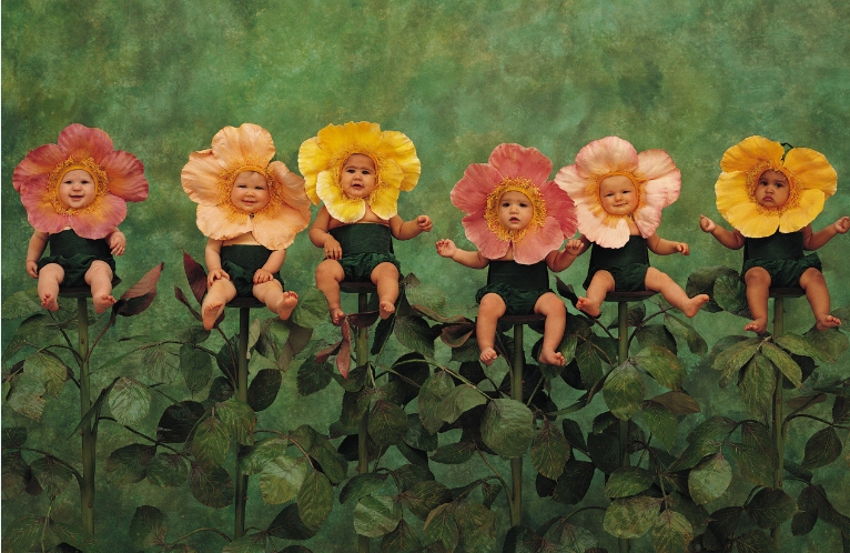 起名鸡年出生的宝宝,鸡年宝宝名字大全男孩乳名