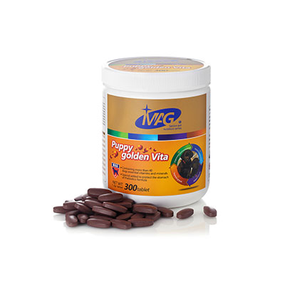 养狗须知：狗狗脾气暴躁易怒怎么办？微量元素缺乏狗狗性情大变