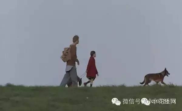 教育孩子需要看什么电影,怎样教育孩子更有效电影