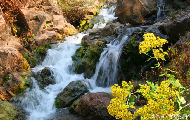香木河自然保护区旅游攻略,新乡香木河自然保护区怎么样