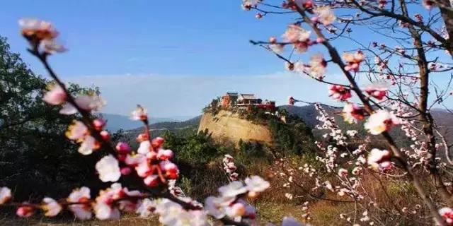 城南客运站旅游直通车,西安城南旅游班线