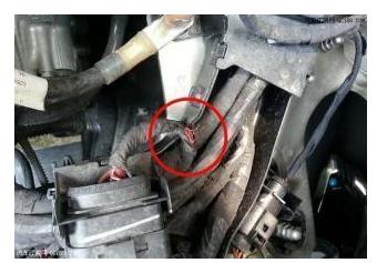 女司机车内传来阵阵腐臭，修车师傅看后，2招解决！