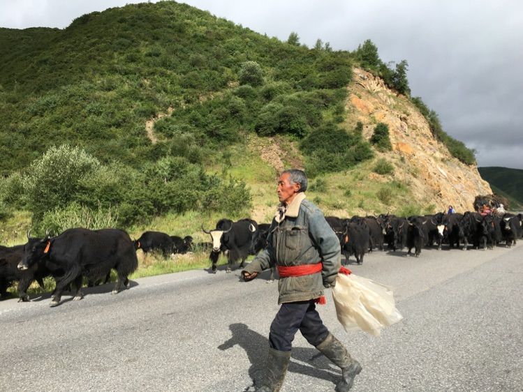 成都到青海湖最佳路线,成都去青海湖怎么去