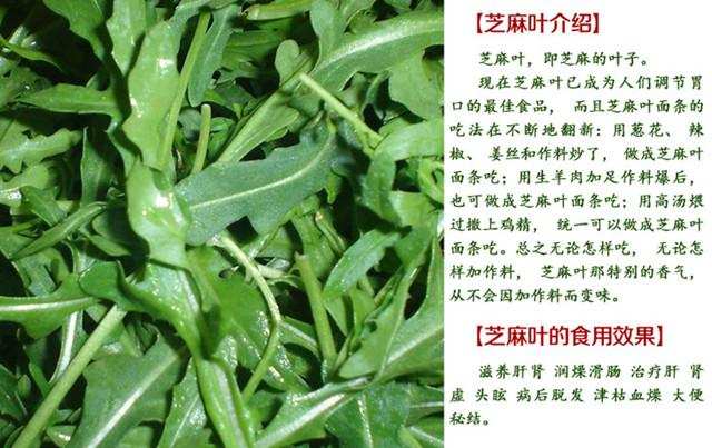 慢性咽炎吃什么药好使,中医治疗慢性咽炎咽干的最好处方