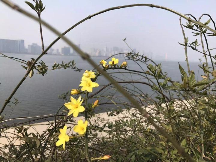 任正非集中精力做好自己的事情,任正非说把精力集中到针尖上