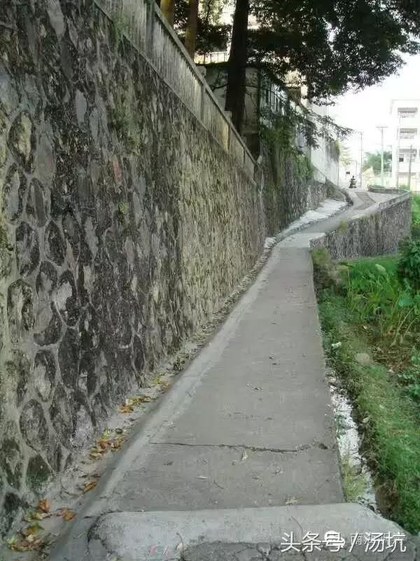 第二故乡乡愁,第二故乡情浓浓