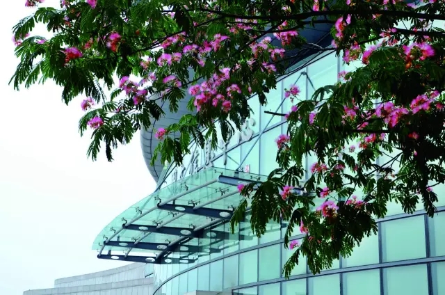 三位一体面试问题及答案,对三位一体的建议