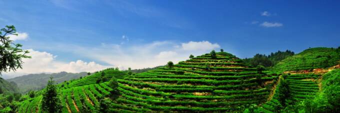 茶马古道丽水金沙,盐茶古道日照