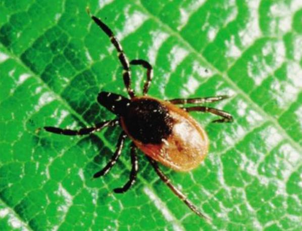 喜欢野外探险的人,喜欢户外探索的小伙伴