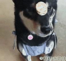 袜子破个洞怎么补救视频,袜子破了个洞怎么办