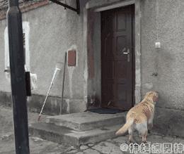 袜子破个洞怎么补救视频,袜子破了个洞怎么办