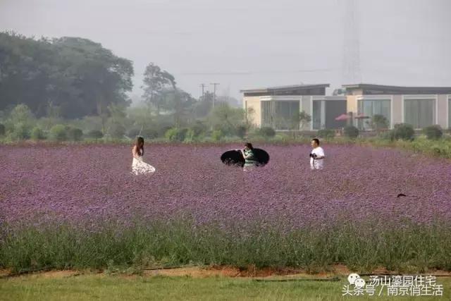 当爱情遇见彩礼你会怎么做,爱情和房子如何决定