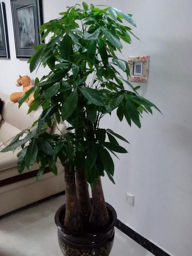 做好这几点让你少生病,做好这几件事能少吃很多亏