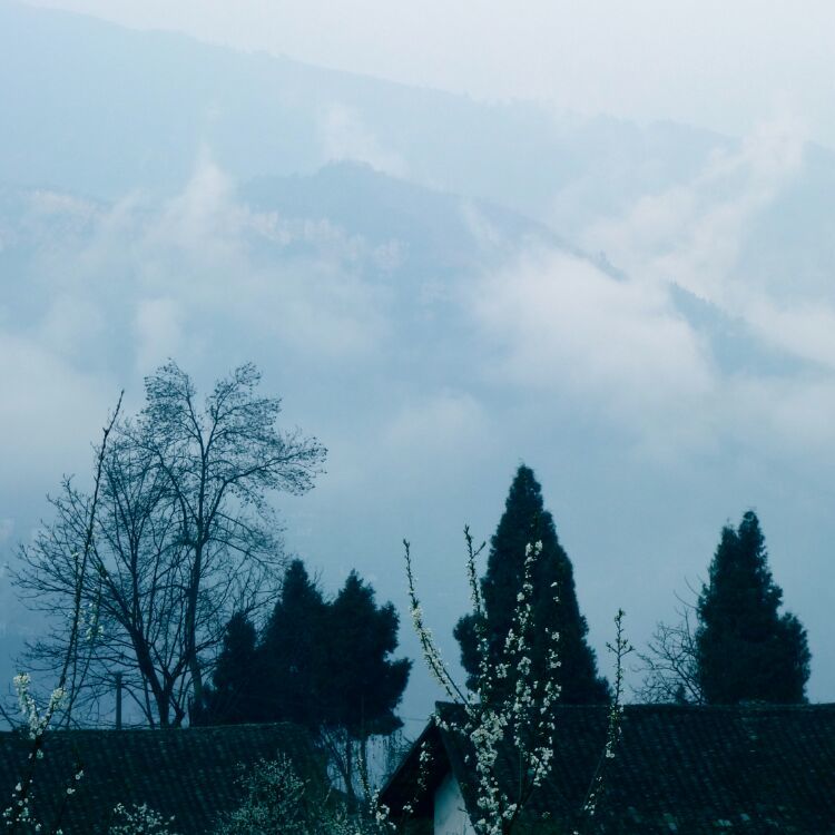 茶马古道丽水金沙,盐茶古道日照