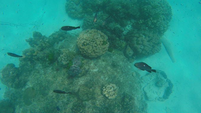 泰国普吉苏梅甲米旅游攻略,泰国游普吉甲米岛六天五晚的报价