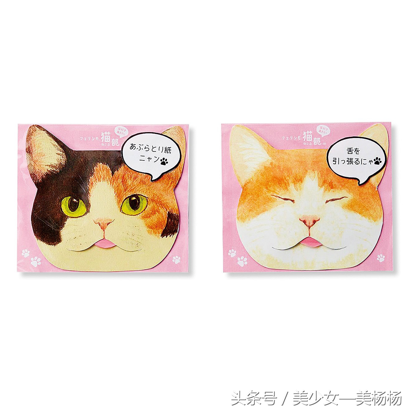 你们都是美杨杨爱的喵！萌到众生的猫咪系美妆品，喵星人驾到！