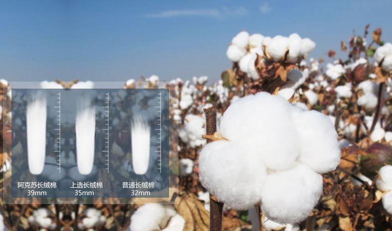 棉衬衫怎么洗才不会皱,纯棉衬衫洗了很脏怎么办