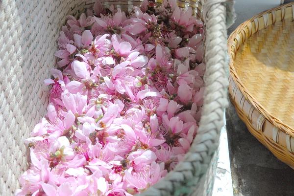 自己学酿纯粮食酒,自己学调酒好学吗