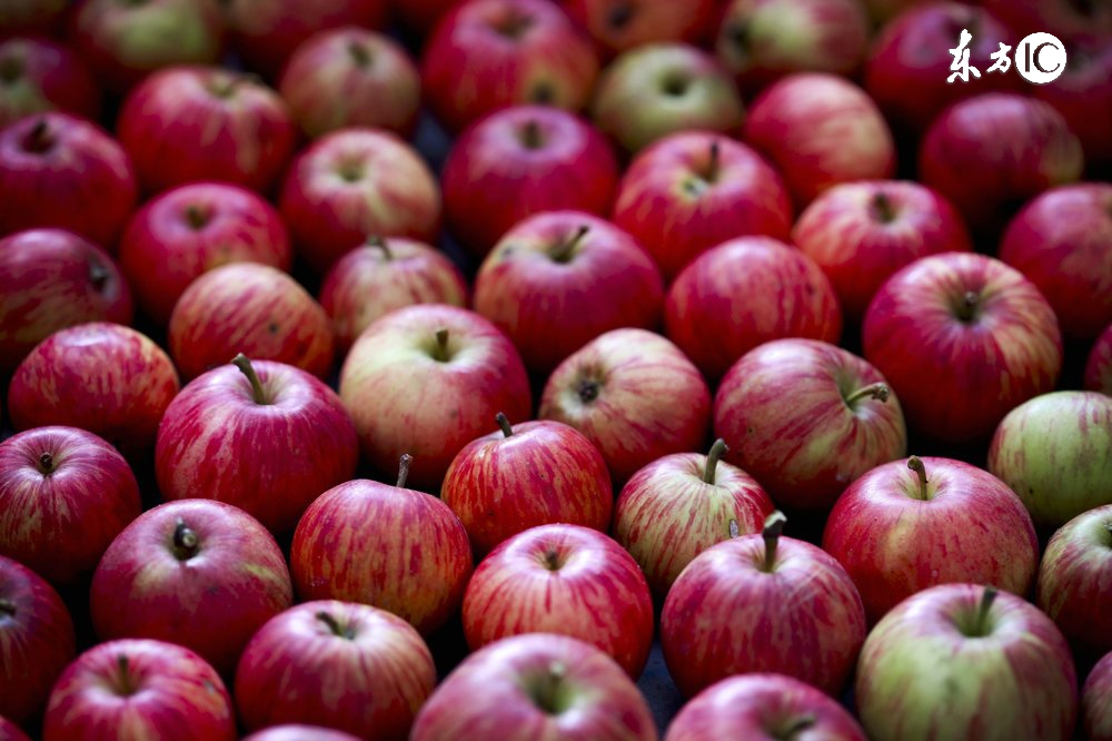 如何突破先天遗传让孩子长高,怎么让孩子遗传到好基因