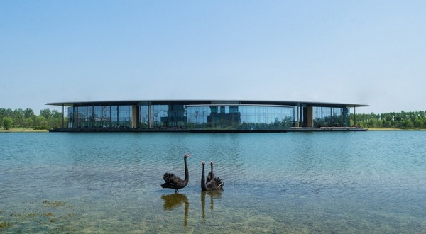 南京旅游必住的民宿,南京周边民宿排行榜前十名