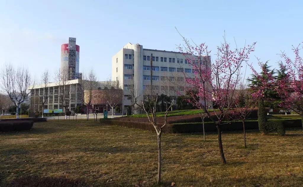 印象渭南：情寄雪梅