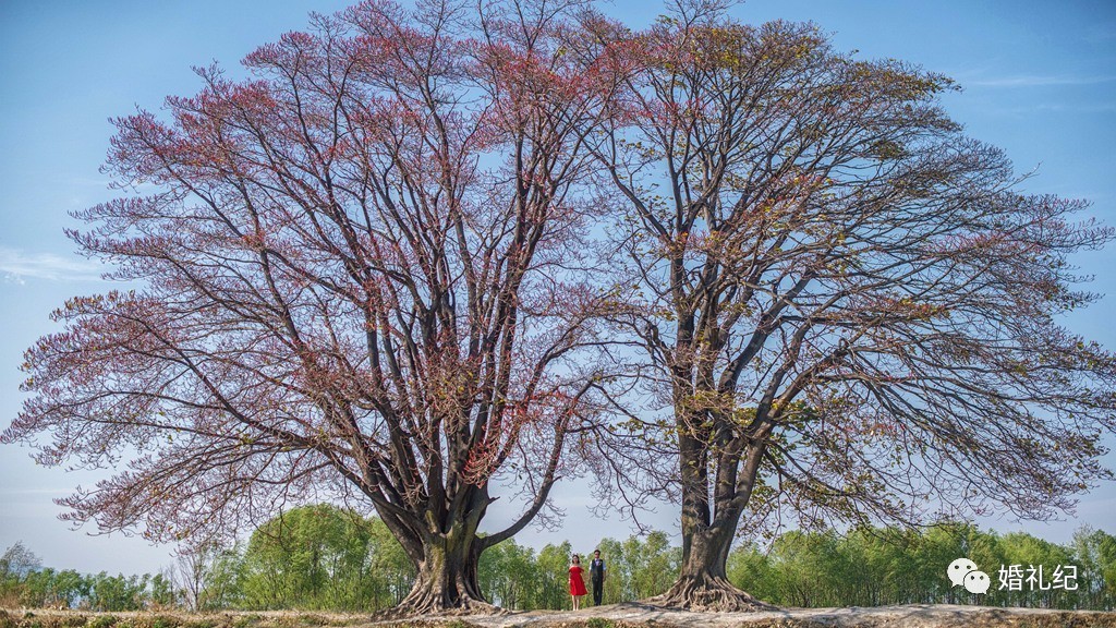 新郎近视眼怎么拍婚纱照好看,拍出新娘满意的婚纱照