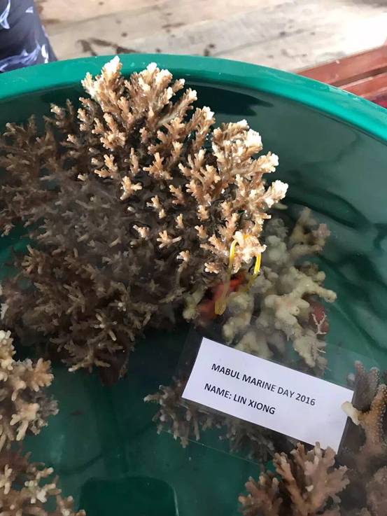 阳春三月，小萌高管们受邀齐飞诗巴丹参加“马布海洋日”~