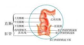 老人发生便秘首选什么办法通便,老人便秘严重临时解决办法