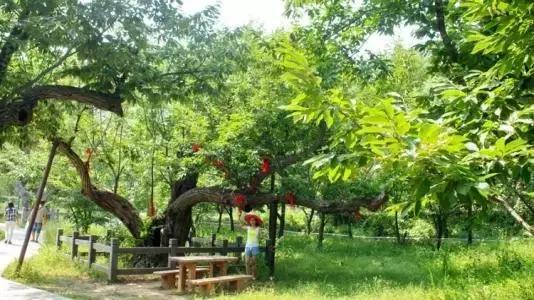 水长城黄花城图片,龙泉峪水长城和黄花城水长城