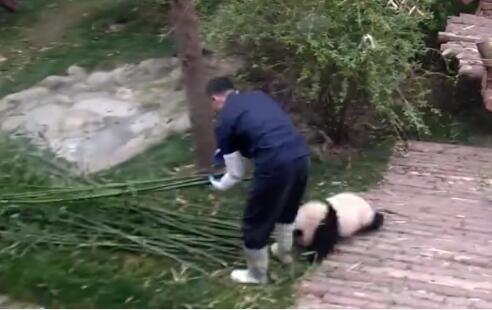 抱大腿暴富后续,抱大腿走上人生巅峰