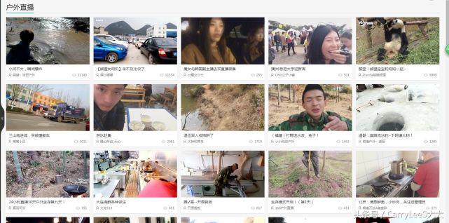 熊猫平台是怎么来的,熊猫在线平台是骗局吗