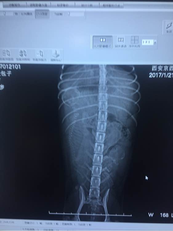 泰迪超过三个月,泰迪超过预产期没生怎么办